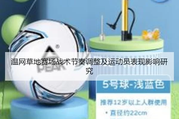 温网草地赛场战术节奏调整及运动员表现影响研究